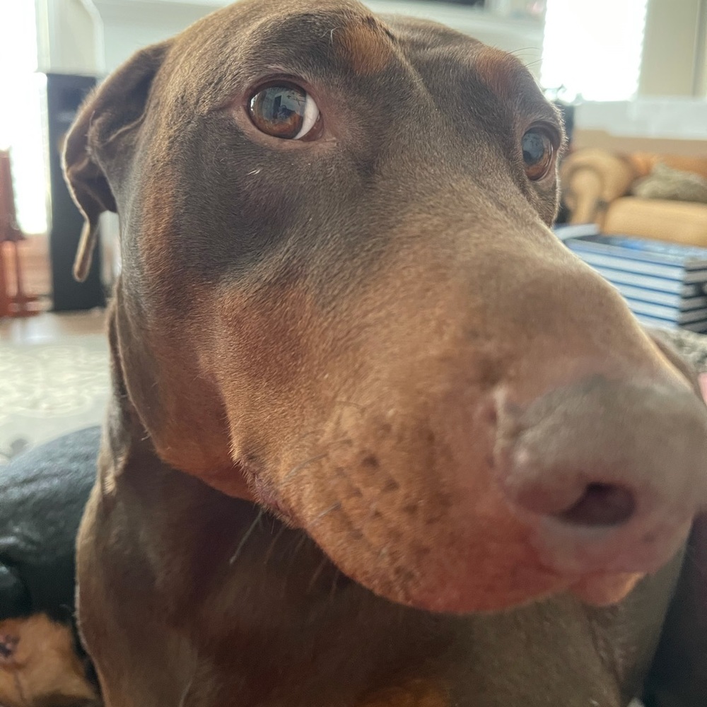 Meet your Posher, Jennifer